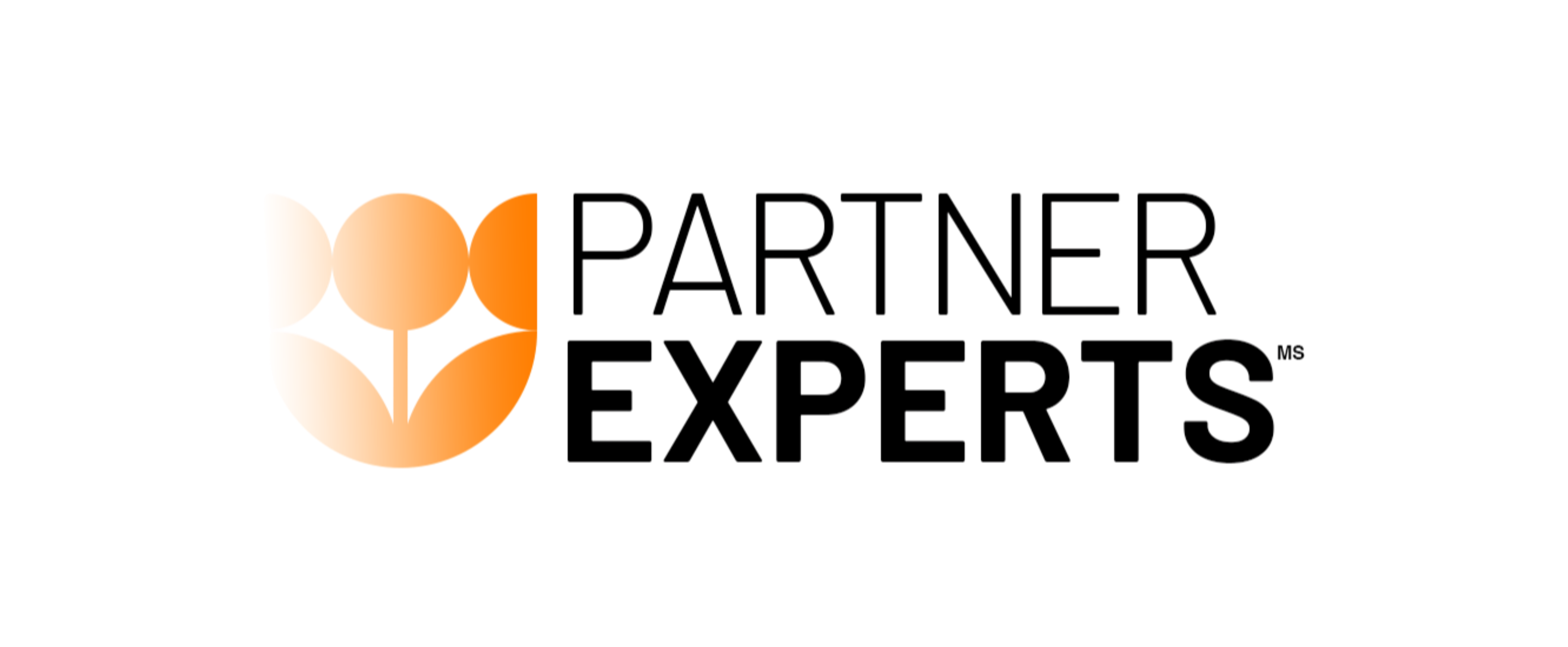 Partner-experts-logo